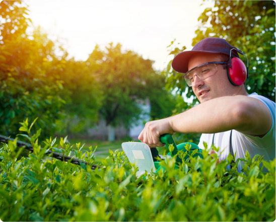 Resources Center - Resources List - Industry Resource - Lawn and Landscaping Industry - Image